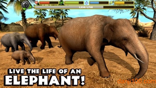 大象模拟器